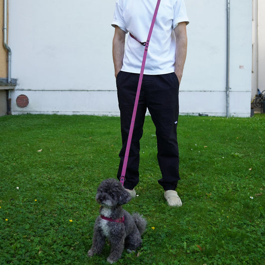 Hands-Free Dog Leash (Crossbody) — Pink Zebra