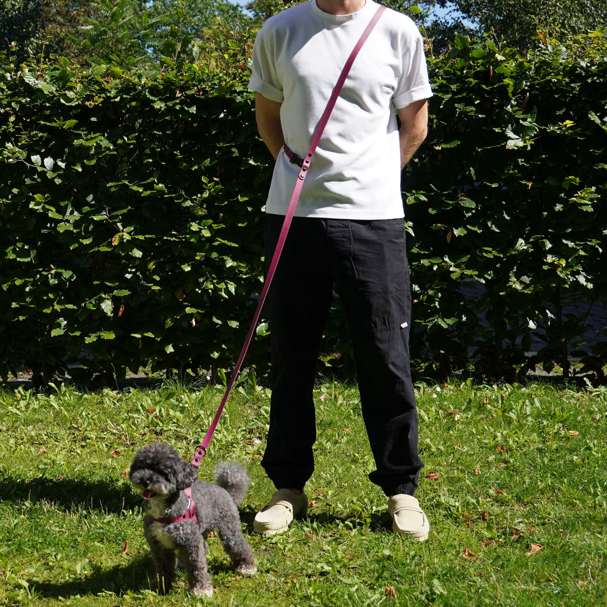 Hands-Free Dog Leash (Crossbody) — Pink Zebra