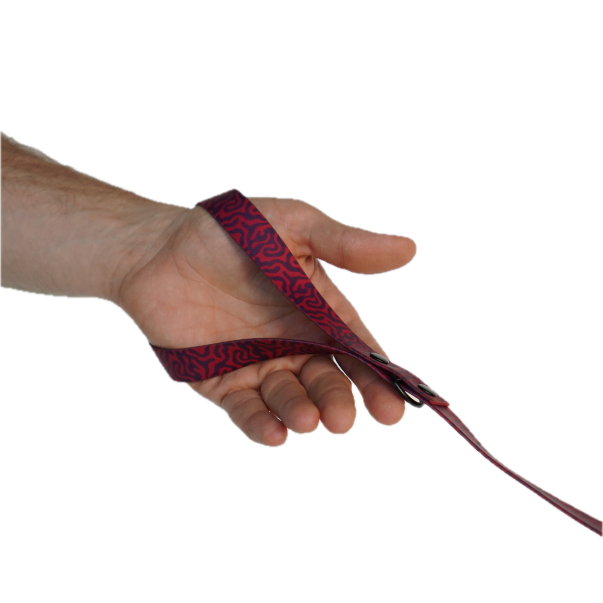 Everyday Dog Leash — Pink Zebra