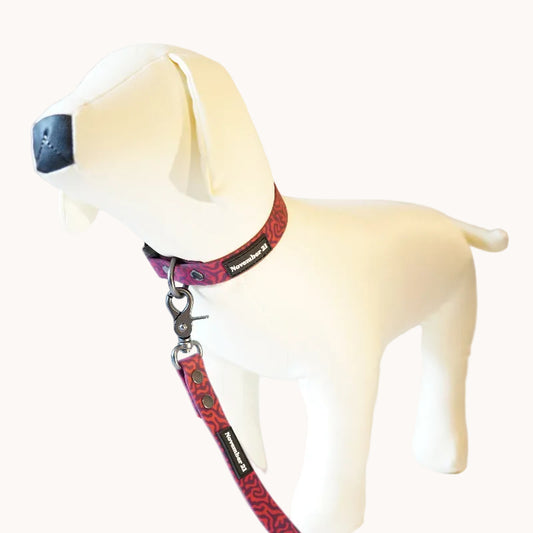 Soft Dog Collar — Pink Zebra