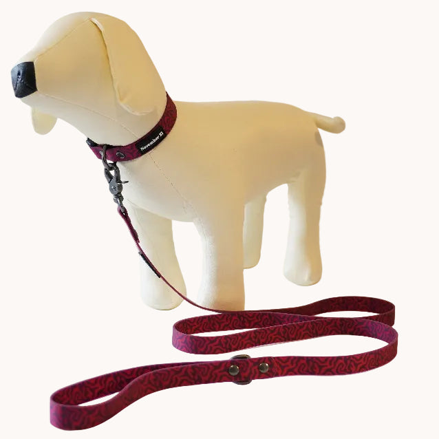 Soft Dog Collar — Pink Zebra