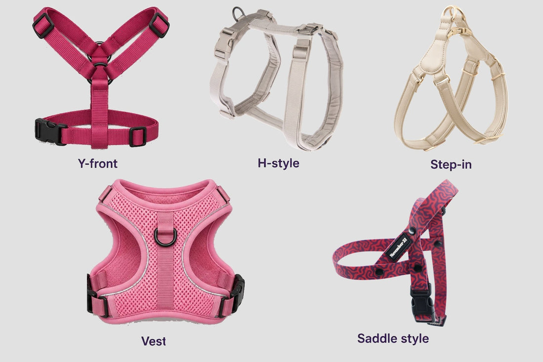 Five dog harness types: Y-front, H-style, step-in, vest and the November21 saddle harness