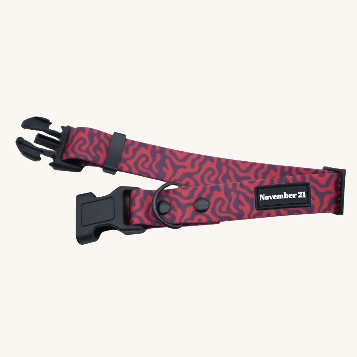 Soft Dog Collar on cream background