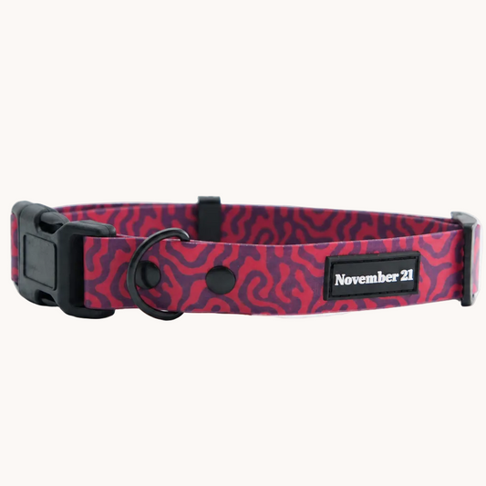 Soft Dog Collar — Pink Zebra (placeholder image, replace with new hardware photos)