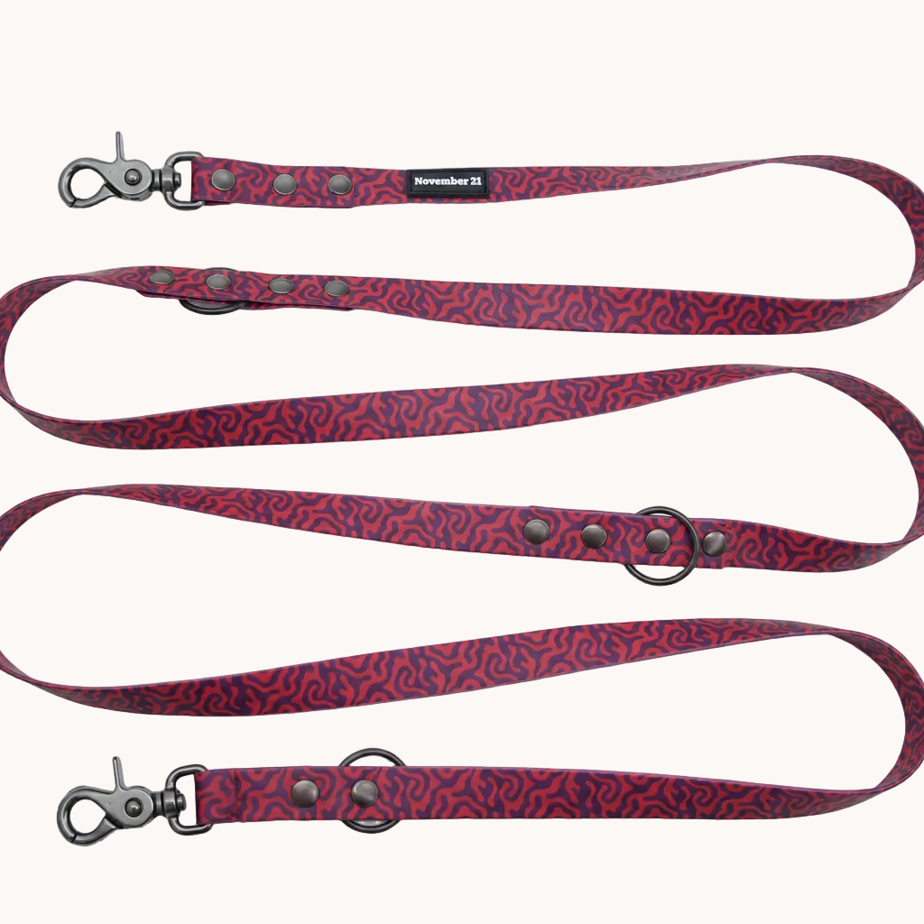 Hands-Free Dog Leash (Crossbody) — Pink Zebra
