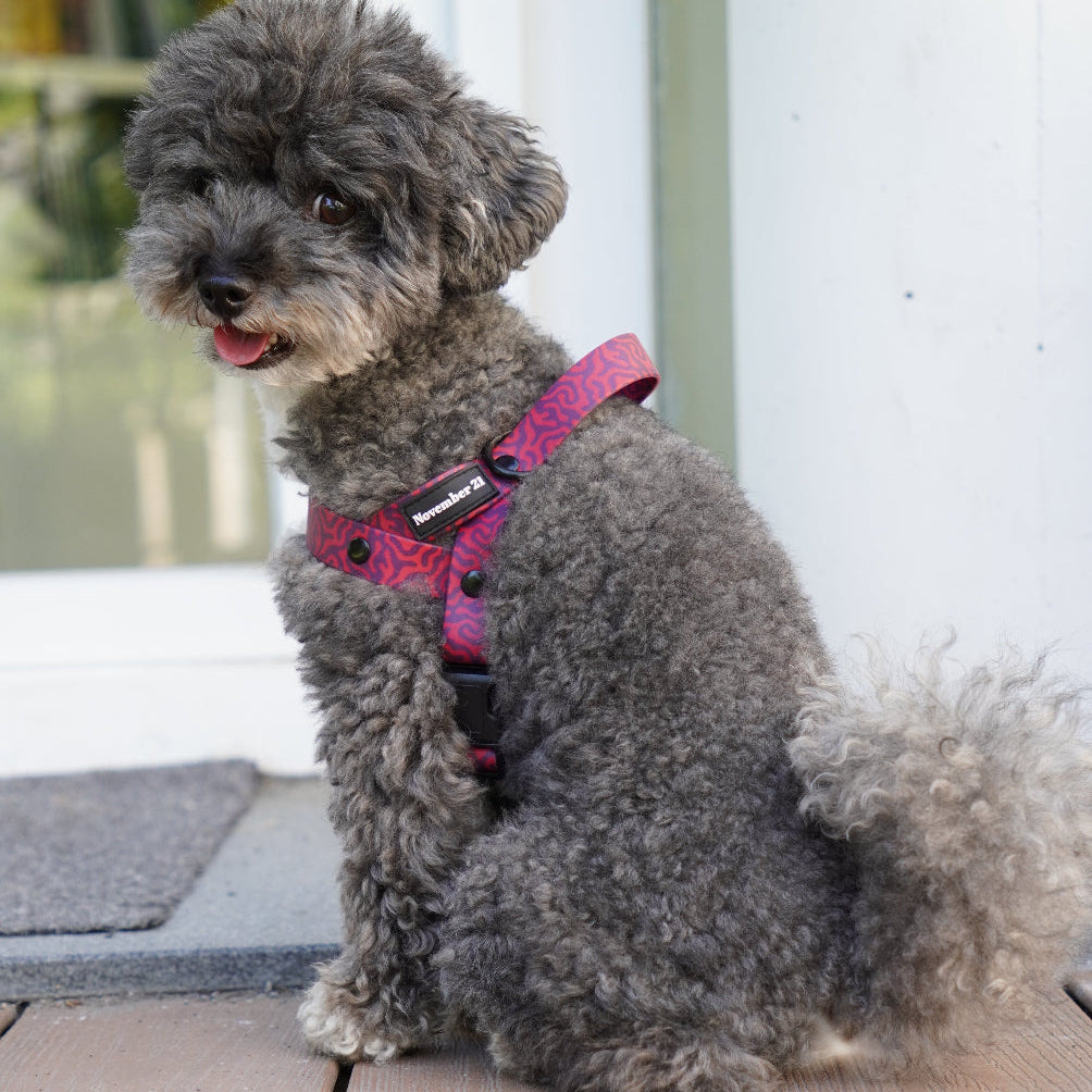 Anti-Matting Dog Harness — Pink Zebra