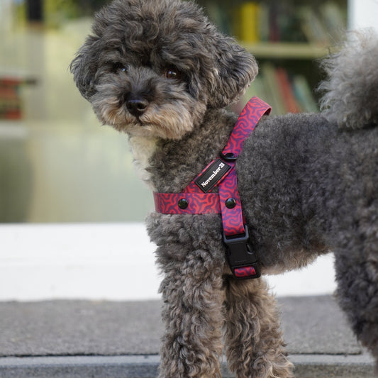 Anti-Matting Dog Harness — Pink Zebra