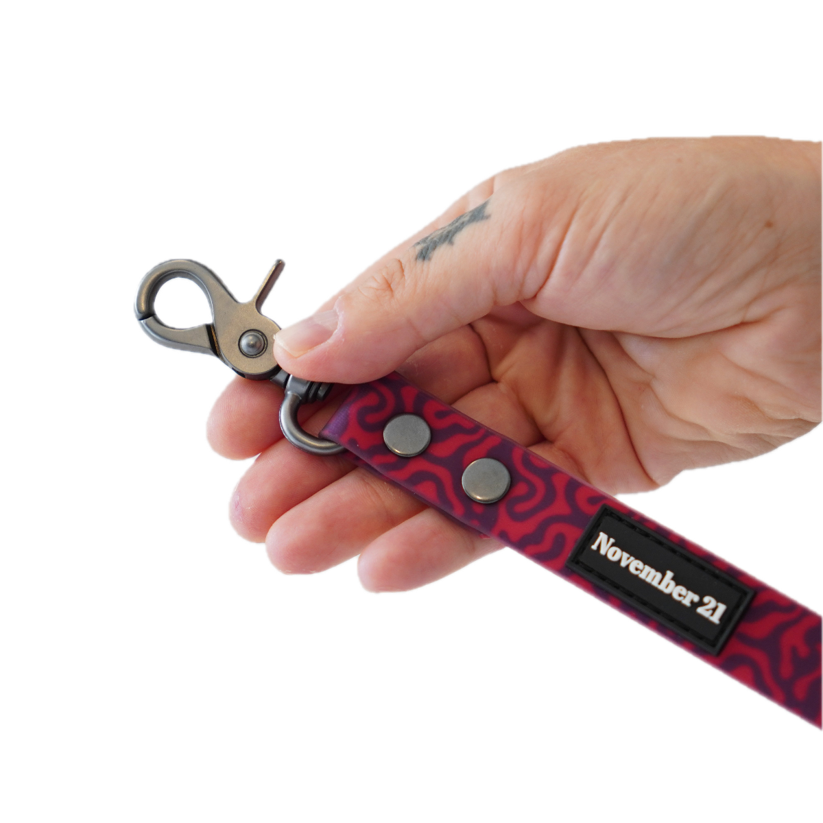Everyday Dog Leash — Pink Zebra