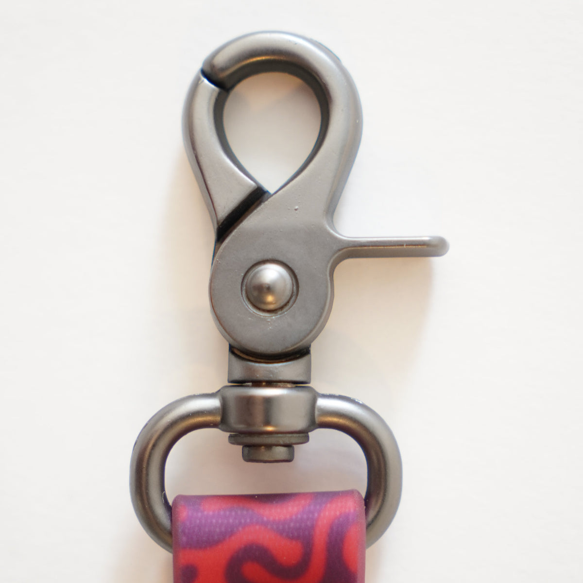 Everyday Dog Leash — Pink Zebra