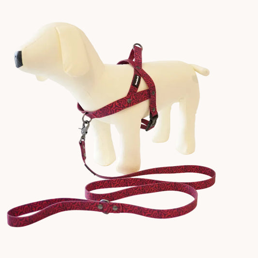 Everyday Dog Leash — Pink Zebra