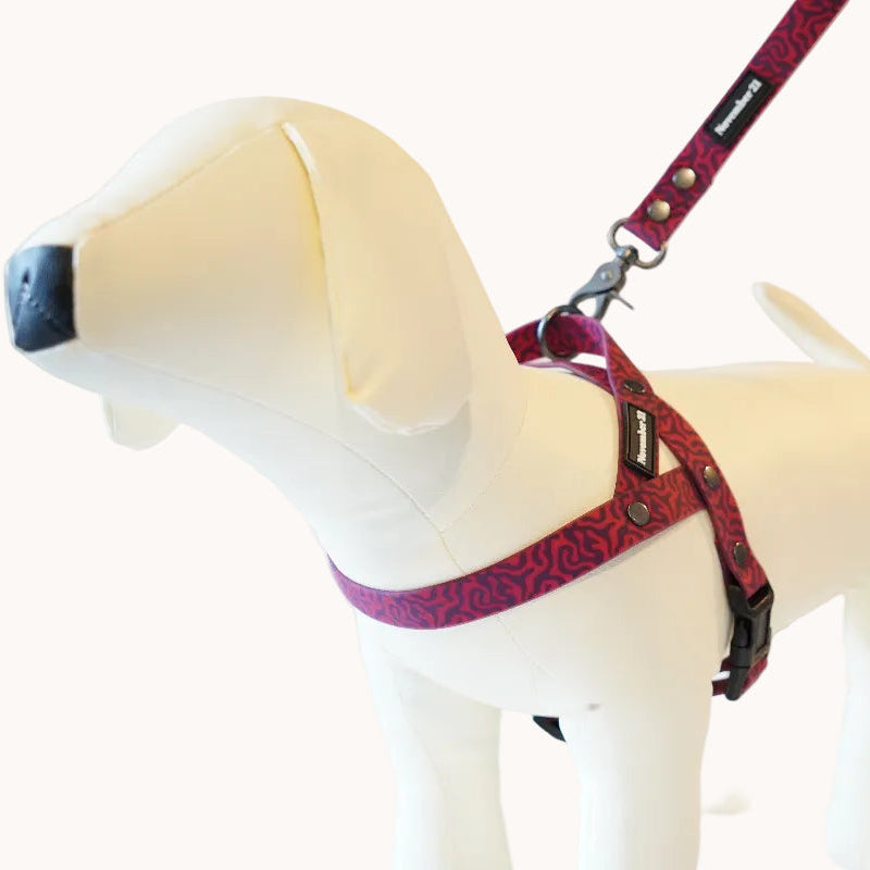 Anti-Matting Dog Harness — Pink Zebra