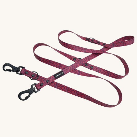 Hands-Free Dog Leash on cream background
