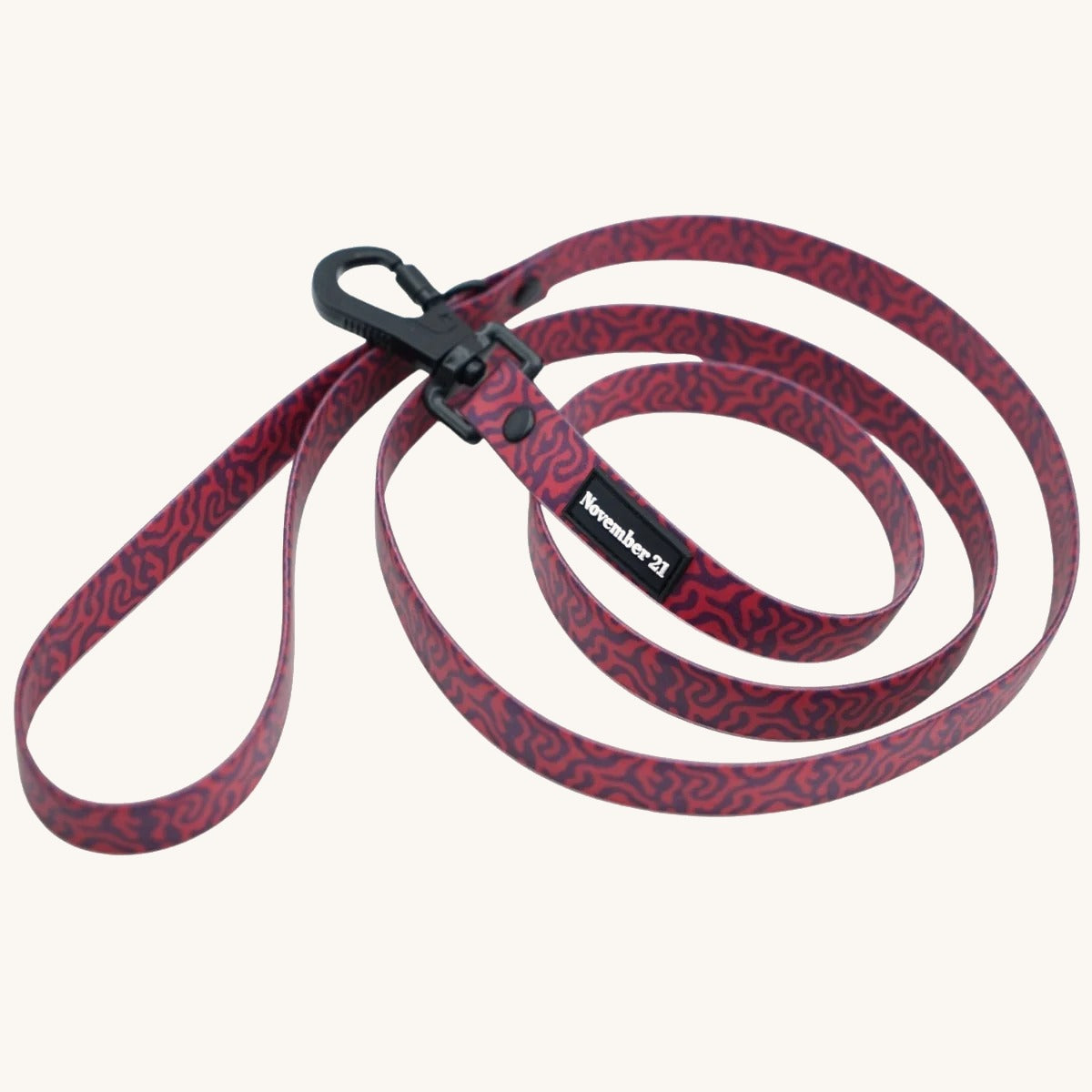 Everyday Dog Leash on cream background