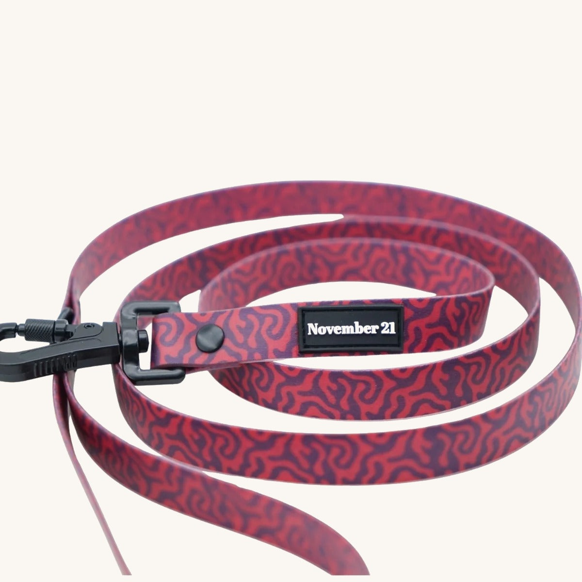 Everyday Dog Leash on cream background