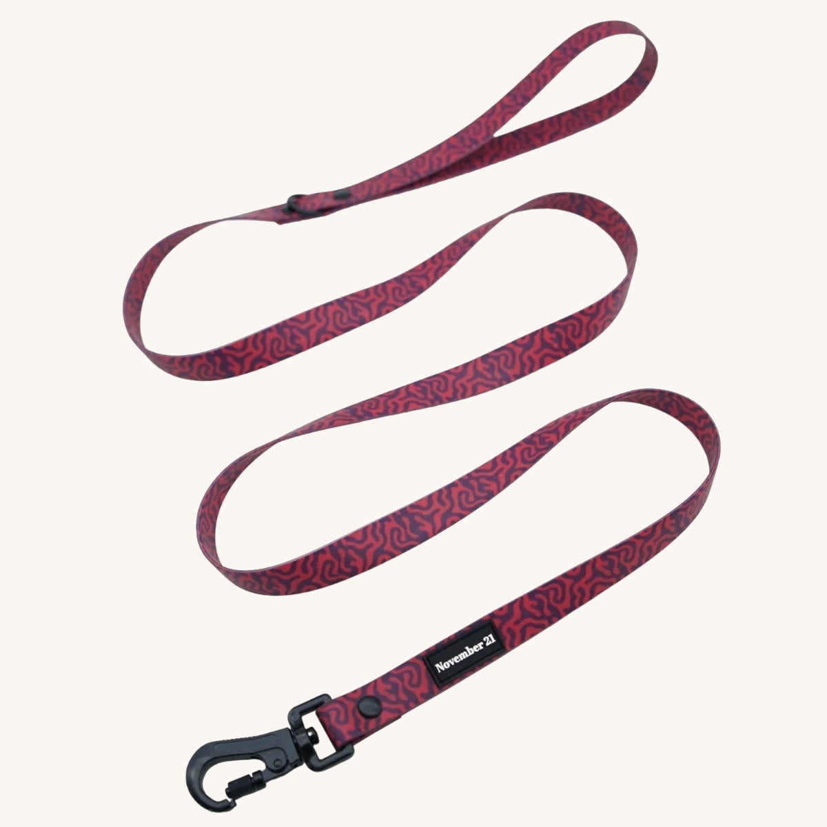 Everyday Dog Leash on cream background