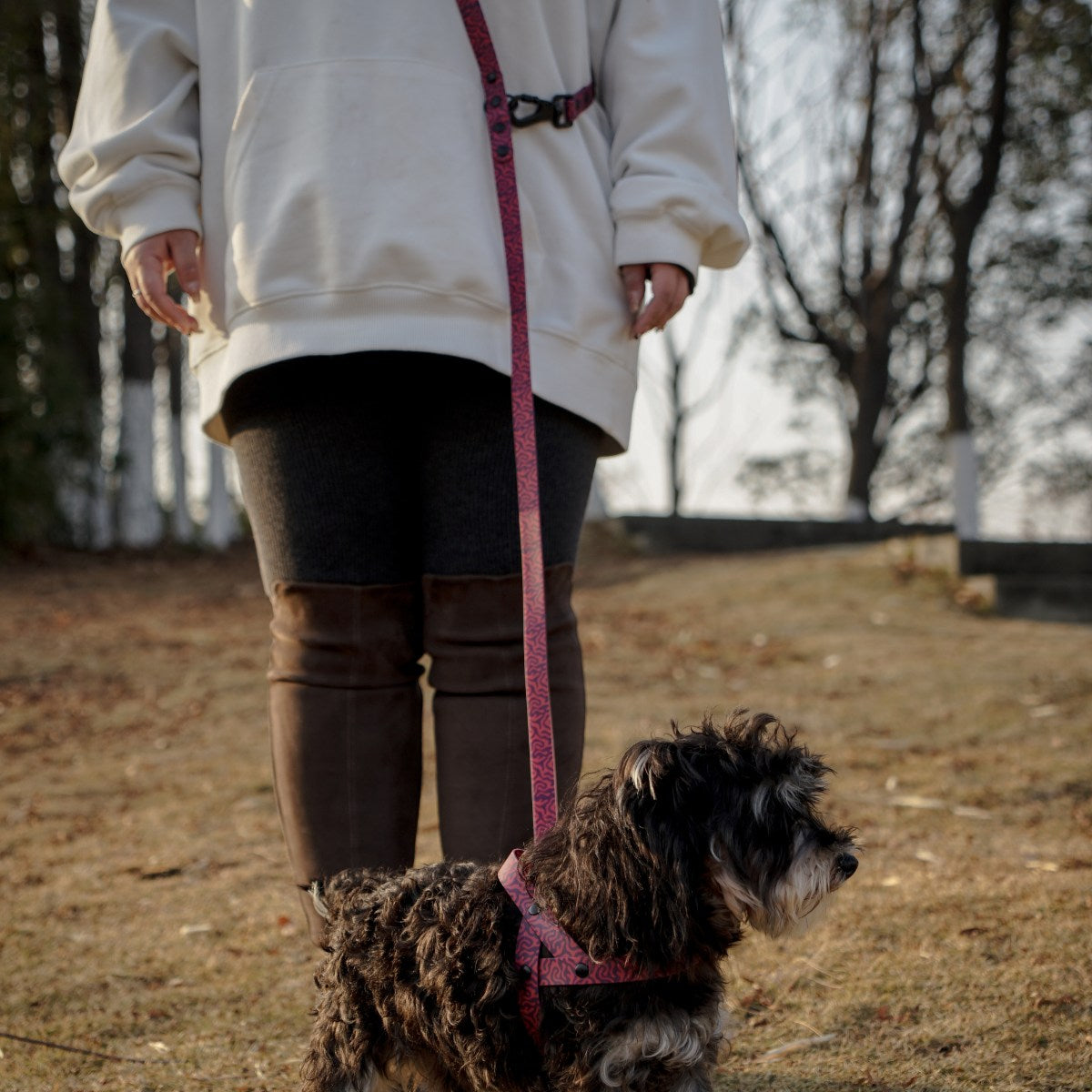 Freihändige Hundeleine (Crossbody)