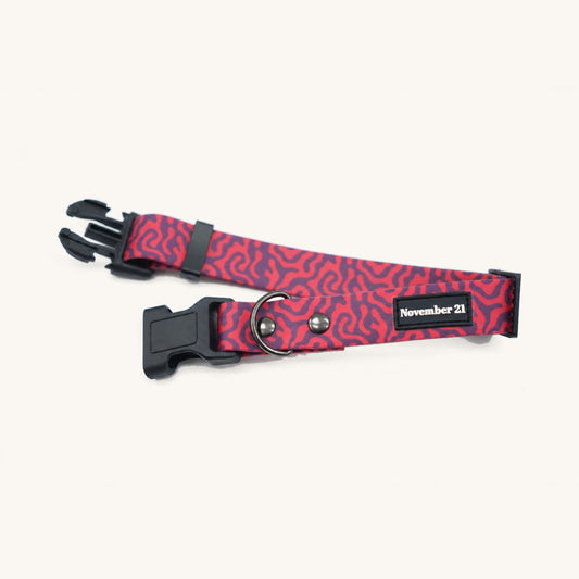 Soft Dog Collar
