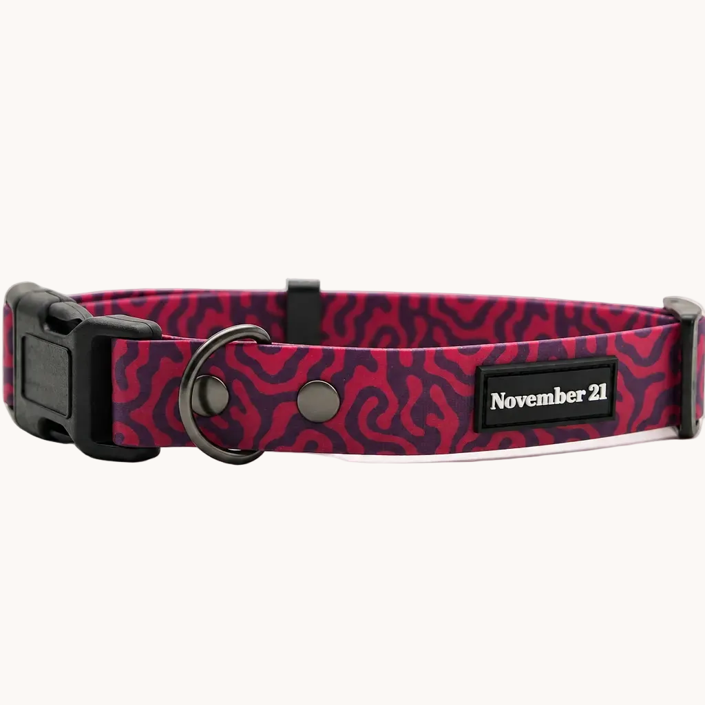 Soft Dog Collar — Pink Zebra