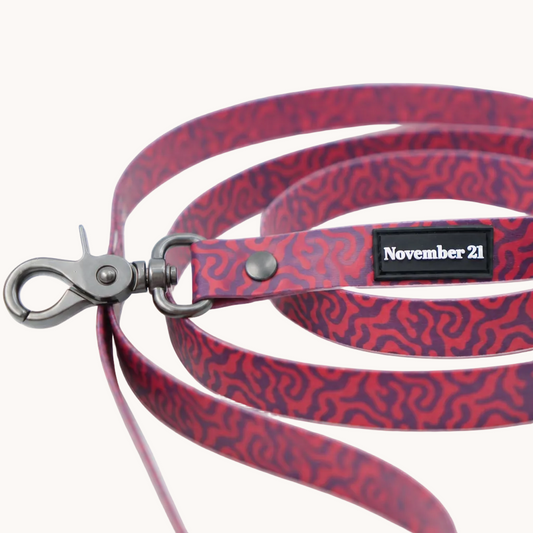 Everyday Dog Leash — Pink Zebra